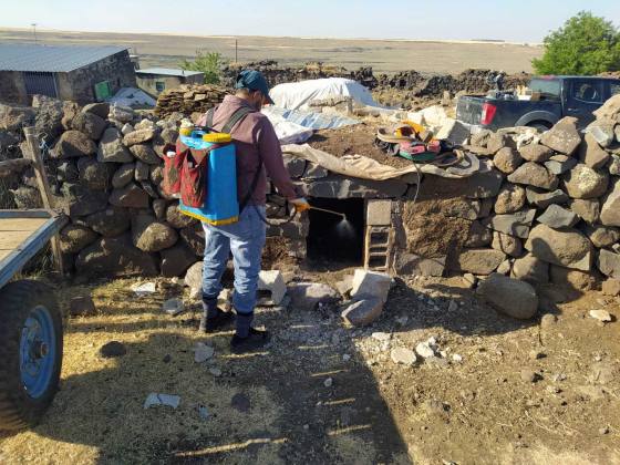 E5A73209 1A17 44ED 96A7 F808ADD981E9