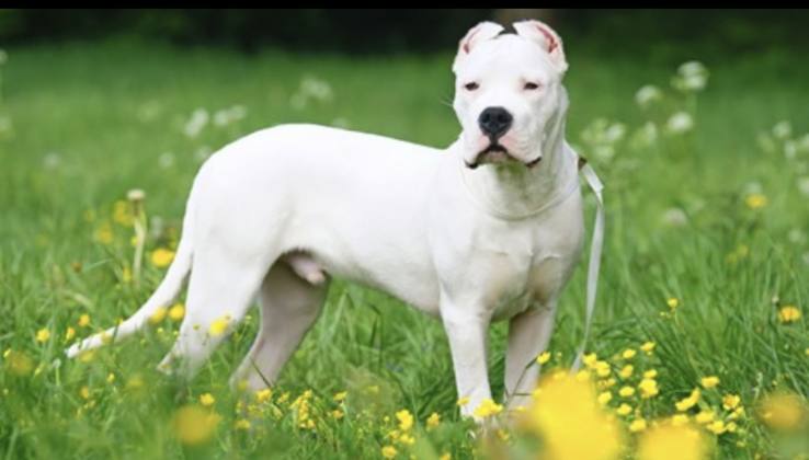 11B6E6F6 55E5 4F63 8152 2F249C5492A2