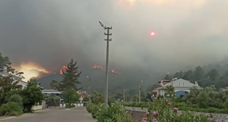 Türkiye'nin 'ciğerleri' yanıyor 26 1CE717F5 D11B 4D2F 81B8 59B657728F1C