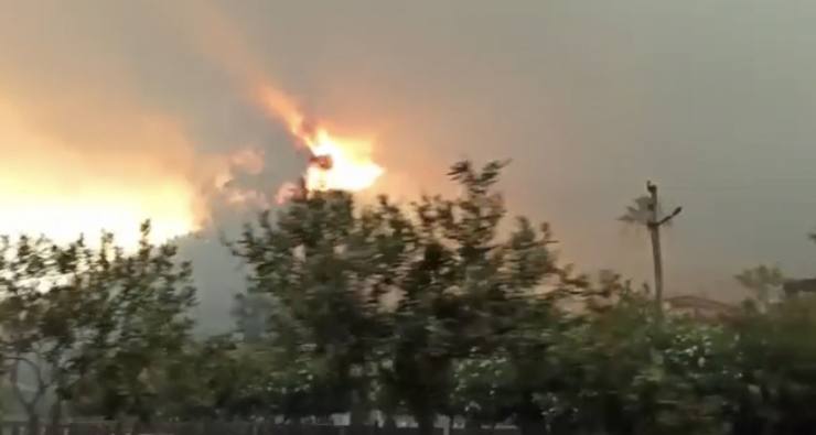 335F8114 B7CC 4C44 8451 5DD2DE866DCD