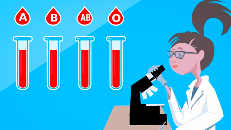 3BD0AFE5 5719 49F6 B463 E3FAE004C786