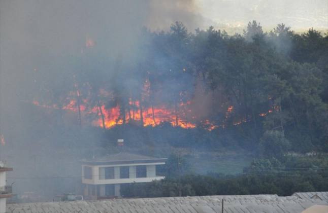 5411E1EB 4AEF 4480 8802 2557B3D68F60