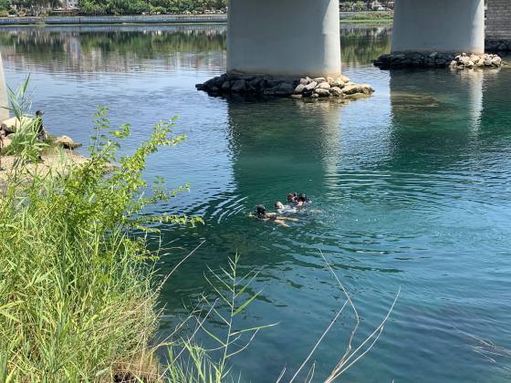 649D7BA3 DF49 470A 9072 1356847D501E