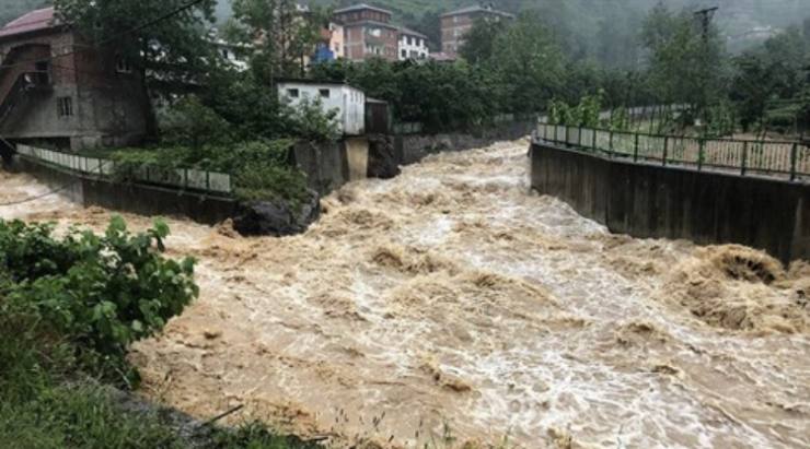 6963D562 DA4E 4B8B A5DA 752DF6E64075