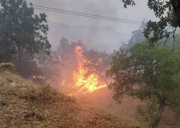 738DC00F 556C 4428 ABAB 7491C1616C79