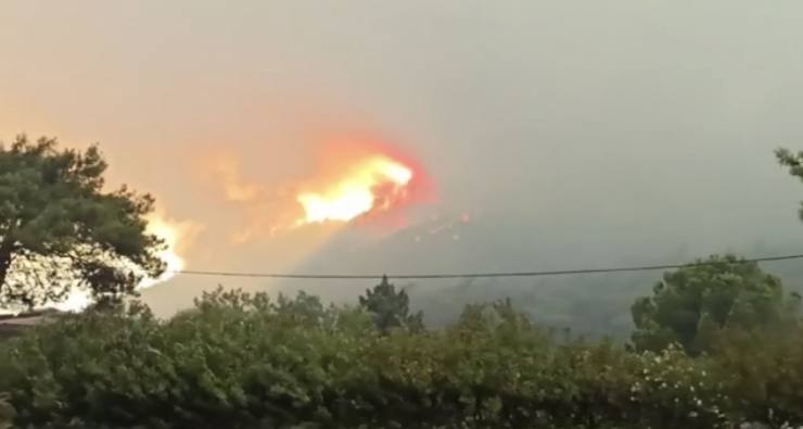 Türkiye'nin 'ciğerleri' yanıyor 25 7E7A8326 B7F9 422C B11E 61E8D37178BF