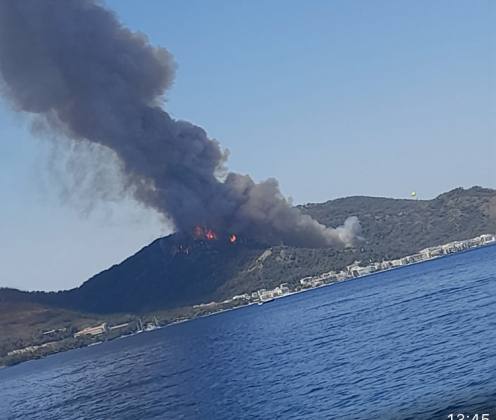 8231AC7A BE0D 4F3D 81A6 7DE4E1F97FE1