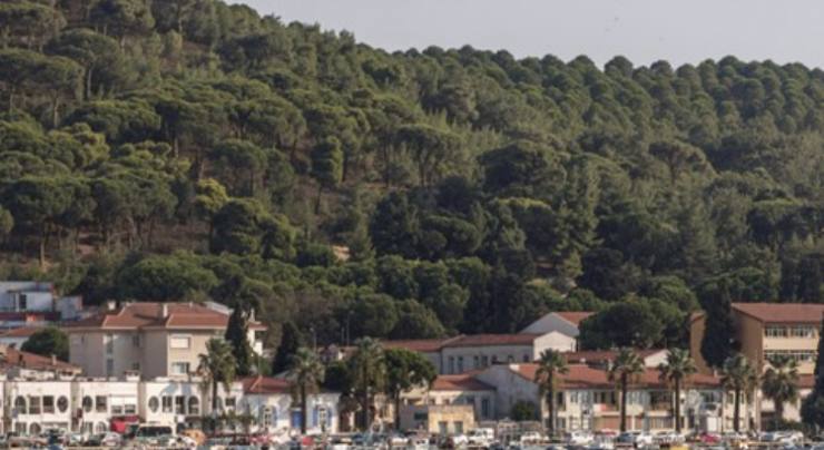 8412205F D703 4DAE 91D4 AA9921EE235C