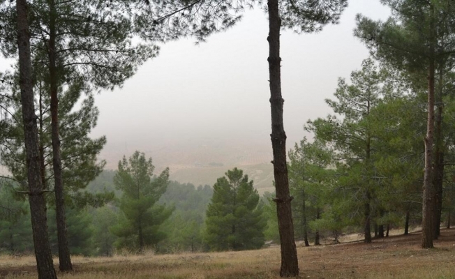 9374FFF6 BB5B 40BF A2CE FFA98FFF015D