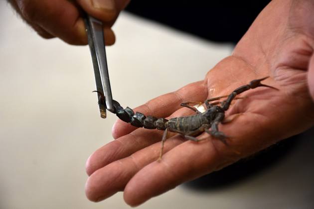 C286F8F1 1871 4BF5 B01D 9CDD6A2FE1B0