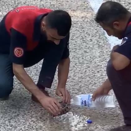 Canla Başla Müdahale ! 11 CB232931 14FC 49E3 BFBC 4A92123D7F84