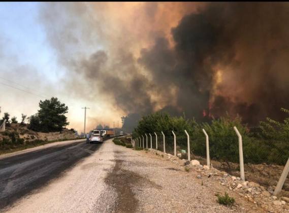 DD16F4E0 6480 4DEE A0F3 046E8531C71B