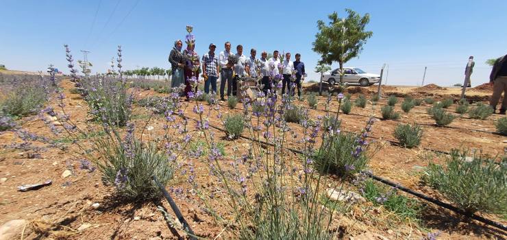 E3E57FB7 409E 4389 8CAA 53273FD3C182