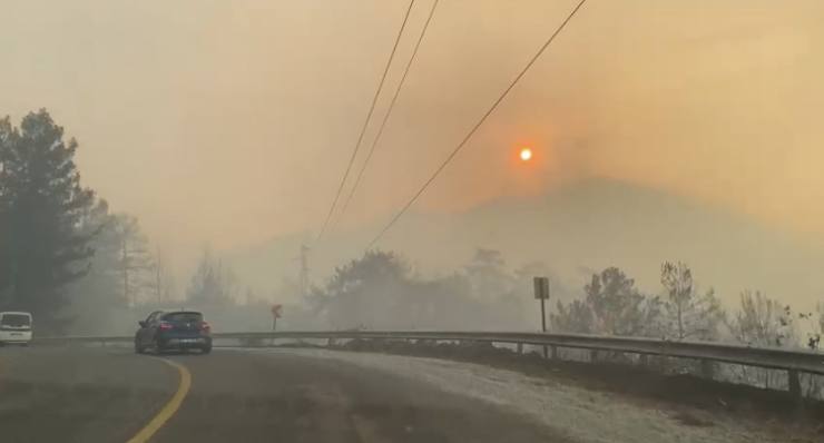 FBAAD569 E19F 4FCB AB81 E150DA08A3C7