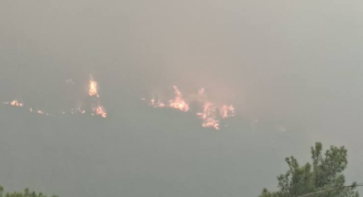 Türkiye'nin 'ciğerleri' yanıyor 24 FED26402 BAD6 48B4 81F2 D3E0CAD459B8