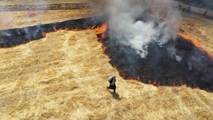 WhatsApp Image 2021 07 06 at 22.20.35