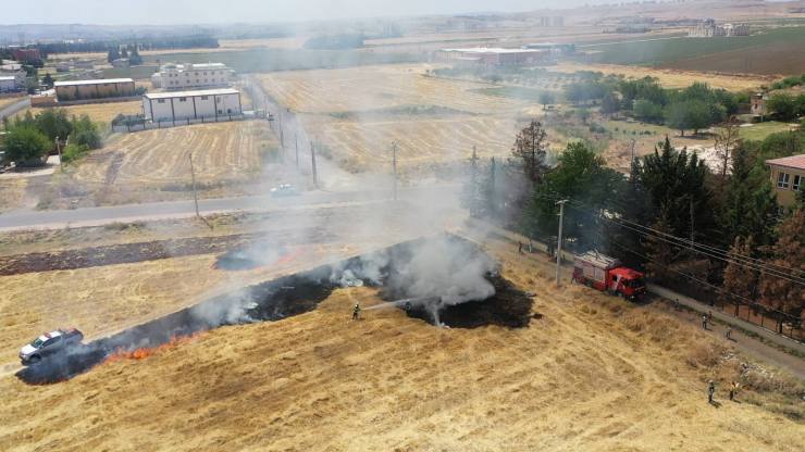 WhatsApp Image 2021 07 06 at 22.20.36