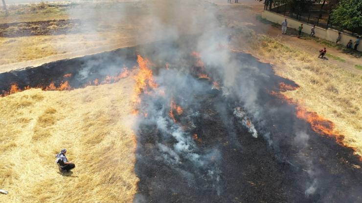 WhatsApp Image 2021 07 06 at 22.20.37