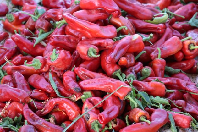 TARLADAN SOFRAYA İSOT YOLCULUĞU 6 33F10181 5CA4 4C05 B107 3241DBAD979A