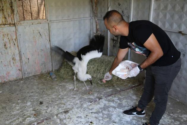 46969362 3937 4563 8176 C24525BBCF67