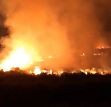 5F45A523 B875 4A96 B7F0 B60F8AE642D0