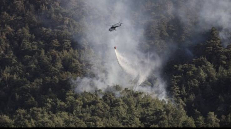 6294AE8A F6DC 44E7 AE07 D2A598F2AECE