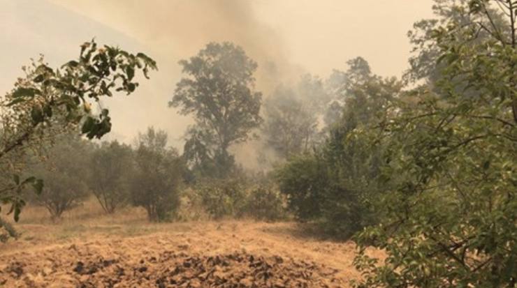 74B1BD24 31F3 4AB0 BE1F 30AC5D28F87C