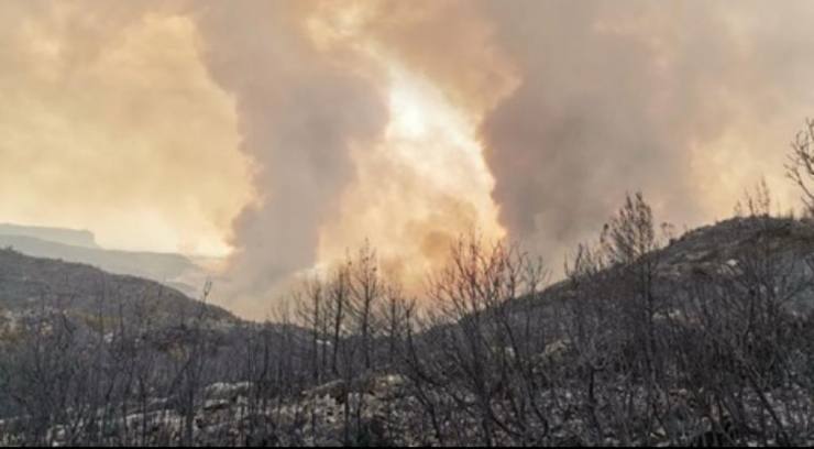 831D37C4 479B 4722 81BB 2D4CE28E64D5