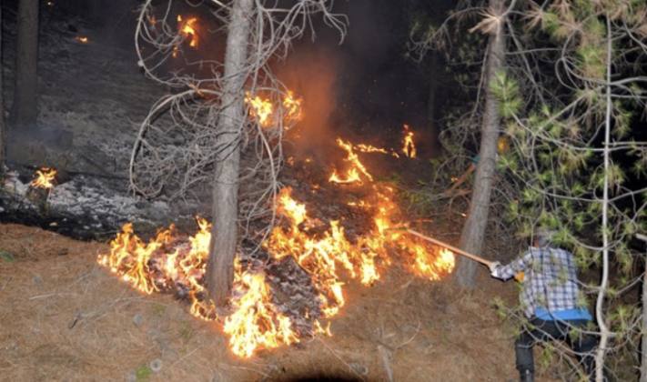 99253F56 B849 4CBB 82FD 6A912FE53B8A