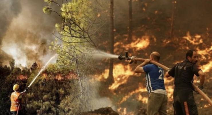 9BCC516B 4BF2 4EFC 87E3 1E1C9660F552