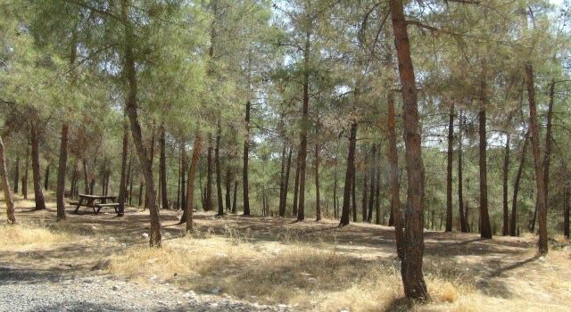 AF204405 3957 4774 9CB7 2A88115C9D09