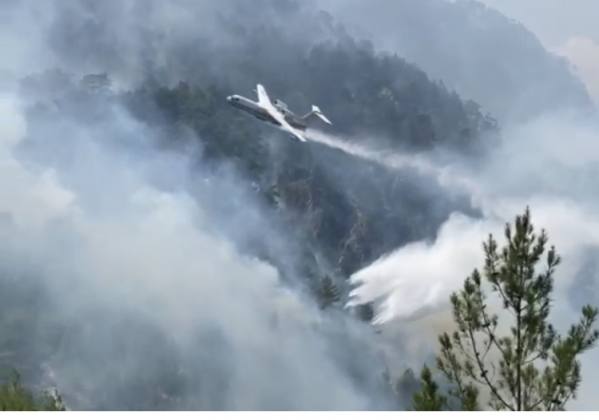 C29C0D31 AF8A 4E5D 90A0 B77280CB0067