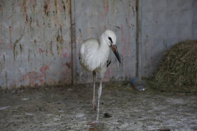 E2D4923F 1391 4F97 9E0A 702264FEC735