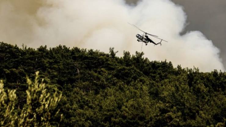 F388293E 15AF 4990 A321 34172D0D8B6F