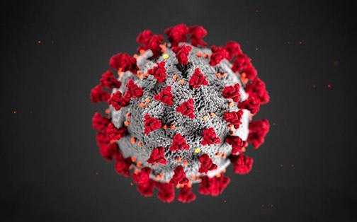 WhatsApp Image 2021 08 07 at 21.39.43