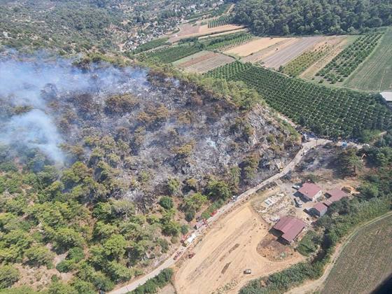 WhatsApp Image 2021 08 08 at 21.05.41