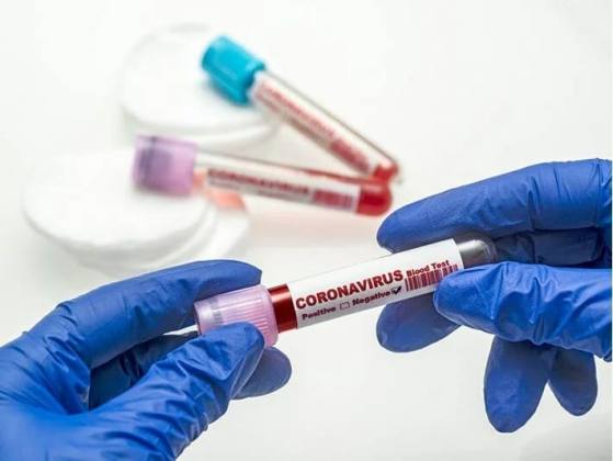 WhatsApp Image 2021 08 16 at 21.02.19