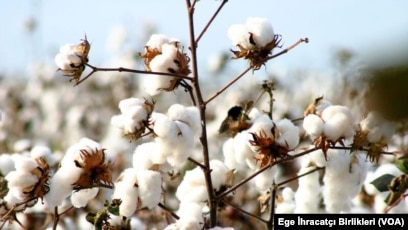 E77B8C9C 3DDA 4005 A211 ECDBC9EB8B02