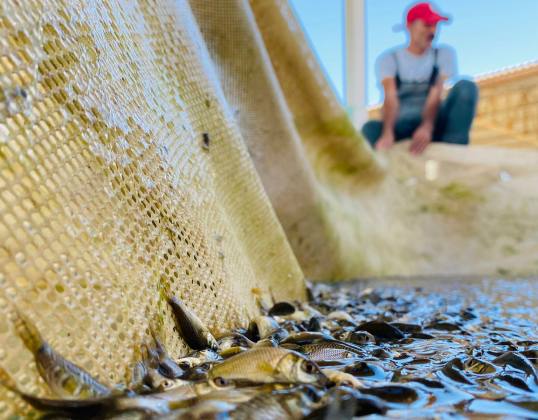 WhatsApp Image 2021 09 07 at 18.18.14