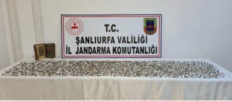 WhatsApp Image 2021 09 26 at 14.24.43