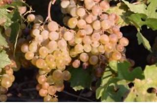 WhatsApp Image 2021 10 03 at 13.15.24