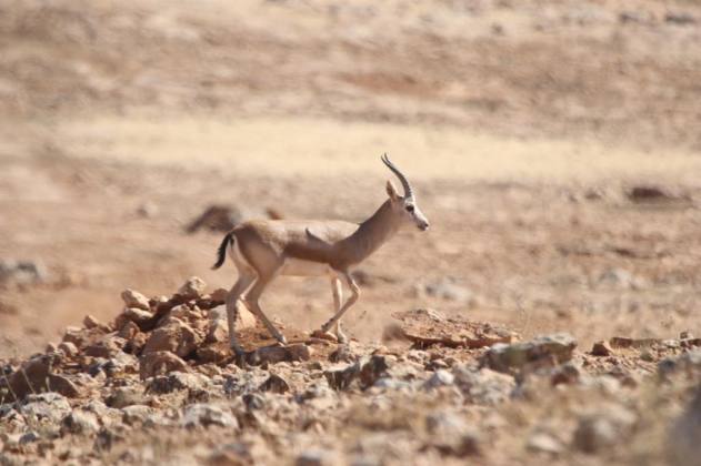 WhatsApp Image 2021 10 22 at 11.50.20