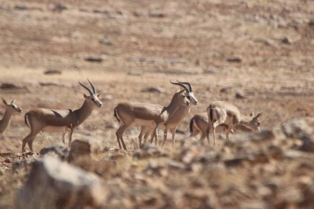 WhatsApp Image 2021 10 22 at 11.51.00 1