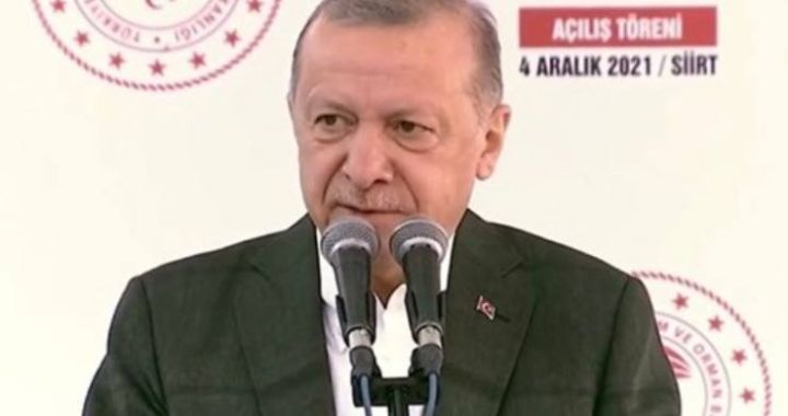 118116F2 80C6 4E58 BEE6 DDFA25F16979