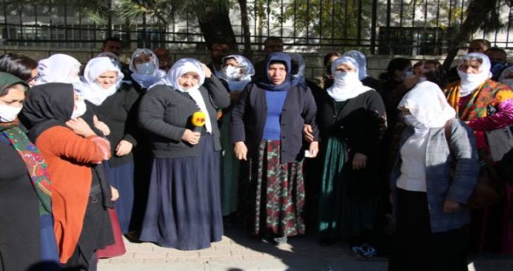 WhatsApp Image 2021 12 02 at 15.55.18