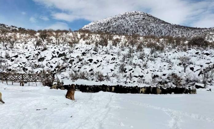 WhatsApp Image 2022 01 22 at 17.49.47