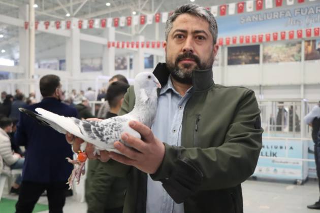 BARIŞ GÜVERCİNLERİ UKRAYNA İÇİN GÖKYÜZÜNE BIRAKILDI 21 22E079BC 38AD 426D AF8C 42BFB7FEE0B0