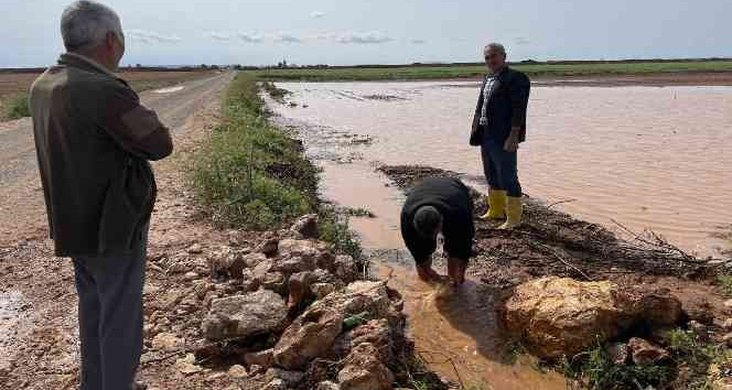 3BF3A8D5 3107 4D5C AB90 6B001D7DD360