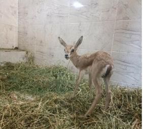 8045C244 AE68 4EA0 A4EA 01AD5F2A32BD