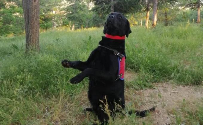 WhatsApp Image 2022 05 29 at 20.17.35